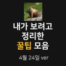 내가 보려고 정리한 꿀팁 모음 20.04.24 ver 이미지