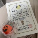 달려봐요댕댕이숲 | 달려봐요 댕댕이숲 율무 운동회 하고 왔어용 ^~^ ❣️