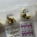 젊은약사들 | [약사가 알려주는] 헬리코박터균 제균요법 / 키목신캡슐 클래리정 / 복용법 및 주의사항, 리얼후기