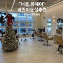 나만봄 헤어 | [일상/후기] 미용실 유목민의 과천 미용실 "너를,봄헤어 미용실 방문기 /휘아쌤