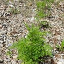 운대농장 이미지