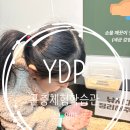 풍뎅이 별관 | 서울 아이랑 가기 좋은 곤충 체험관 YDP 곤충체험학습관 곤충 박물관 곤충 체험 후기