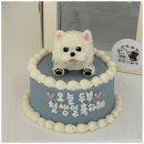 정성스럽개 네이버블로그