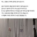 남의 영업장 근처에 무단 적치하고 민원 테러한 캣맘 이미지