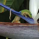 푸드정원 이미지