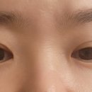 티나스타일 속눈썹&펌 하남미사점