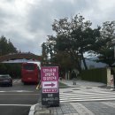 씨유 과천공원점 | 과천 경마공원 &#39;렛츠런파크 서울&#39; 후기(꿀팁, 데이트, 주차, 시간, 먹거리, 경기 일정)