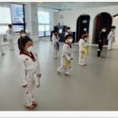 삼정태권도 이미지