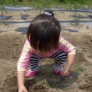 참빛농장 이미지