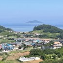 화랑포식당