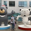 광주장애인체육센터 | 광주장애인생활체육 수영 어울림 대회 참가 후기 (남구 반다비)