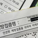 김애경내과의원 네이버블로그