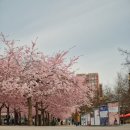 국회의사당역 3번 출입구 이미지