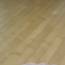 썬자연주의