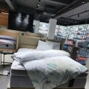 알레르망스핑크스군산점 이미지