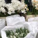 이월한의원 이미지