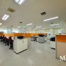 서초동 1603-7 사무실용 건축물 | 서초동 대형사무실 합리적인 선택 제1빌딩임대