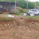 23년5월7일(일) 철쭉심기, 모종심기(밤고구마 2단, 조선호박 3EA, 토마토 11EA, 오이5EA, 가지2EA 등), 부직포멀칭 등 이미지