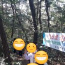 봉암초등학교병설유치원 이미지
