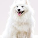 (주)바로메디 이미지