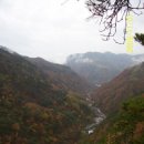 [중딩 산악회]11.1 경북 청량산 강길수님의 후기글 ... 잼나서 퍼왔습니다. 이미지