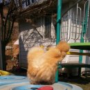 석원농장 이미지