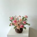 꽃바람화원 이미지
