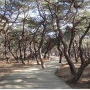 버스정류장 05-018 이미지