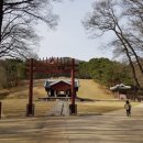 서울 헌릉과 인릉 이미지