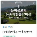 늘비물고기휴양마을 이미지