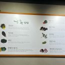 홍송우렁쌈밥