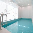 모모애견풀빌라 이미지