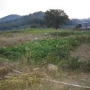 광민농장 이미지