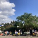 김영란농장 이미지