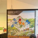 재즈벨 | 홍천 비발디파크 | 겨울 성수기 비발디파크 스키장 주차 꿀팁, 장비 렌탈샵 할인, 소노벨 B동 후기