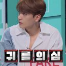 디퍼(dipper)