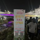 천안농협원성동클린주유소 | 천안/아산인이라면 다 아는 벚꽃 명소, 원성천 ! 벚꽃 만개 현황까지