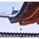 봄마중(2월에는) 이미지