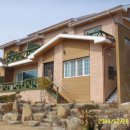 아지랑냉이랑 이미지