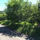 현북면사무소 이미지