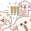 시루미 이미지