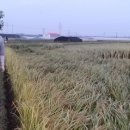 토러스농장 이미지