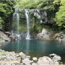 천제연폭포 이미지