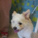 신석초교 이미지