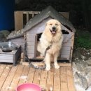 라온제나 1박2일펜션 | 광양수영장펜션 라온제나 1박2일 어치계곡