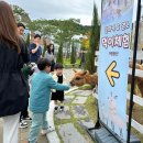 주홍목장 | 아이와 가평 여행 [가평베고니아새정원], 가평 당일치기 추천