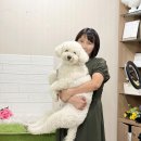 이쁘개 아름답개 이미지
