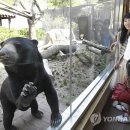 꼬마곰놀이터 이미지