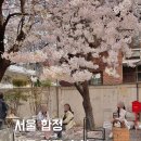 합정 카페 추천 벚꽃 카페 그레이랩