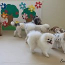 (주)소담소담